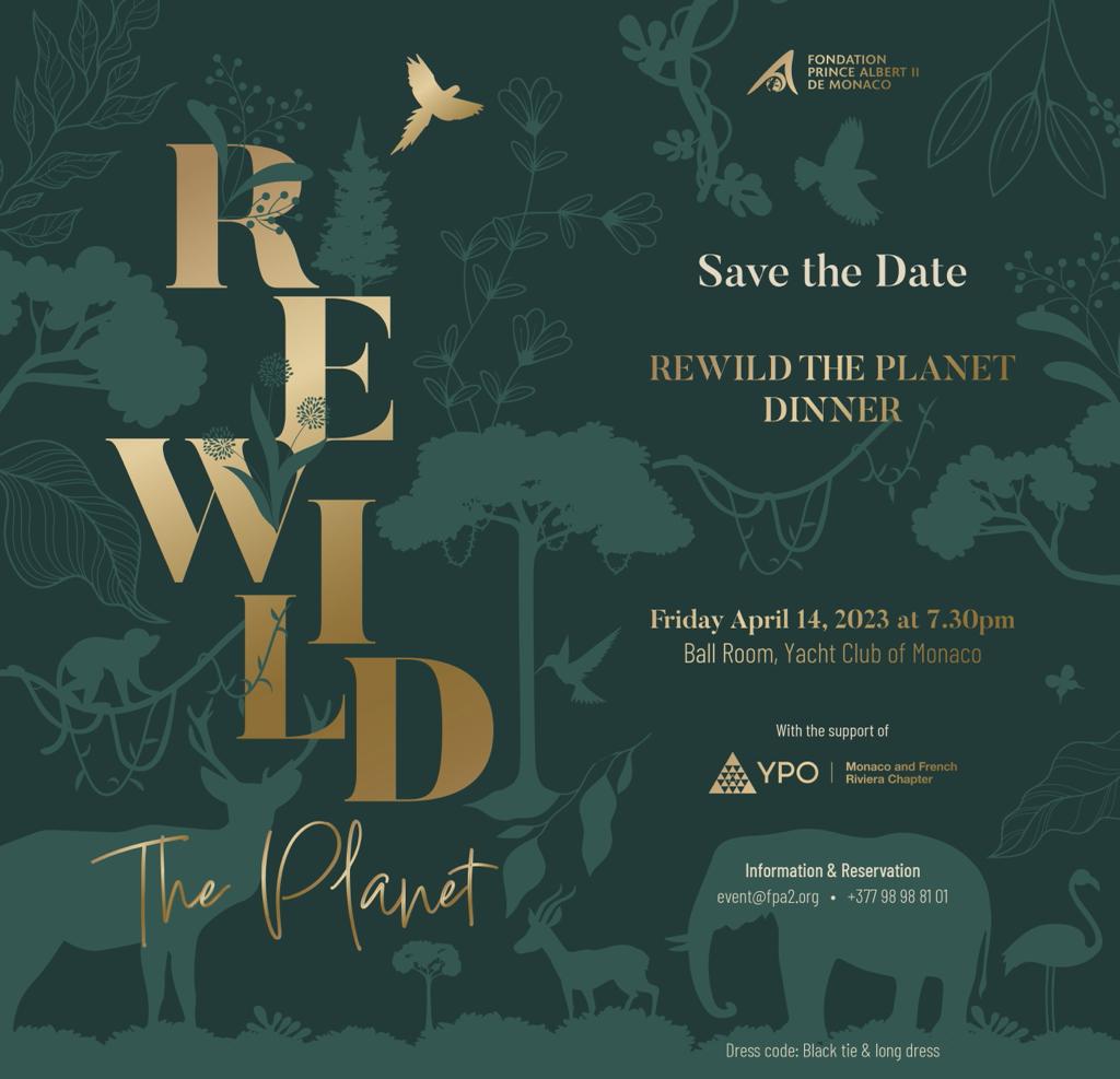 Una creazione DB DESIGN all’asta “Rewild The Planet”